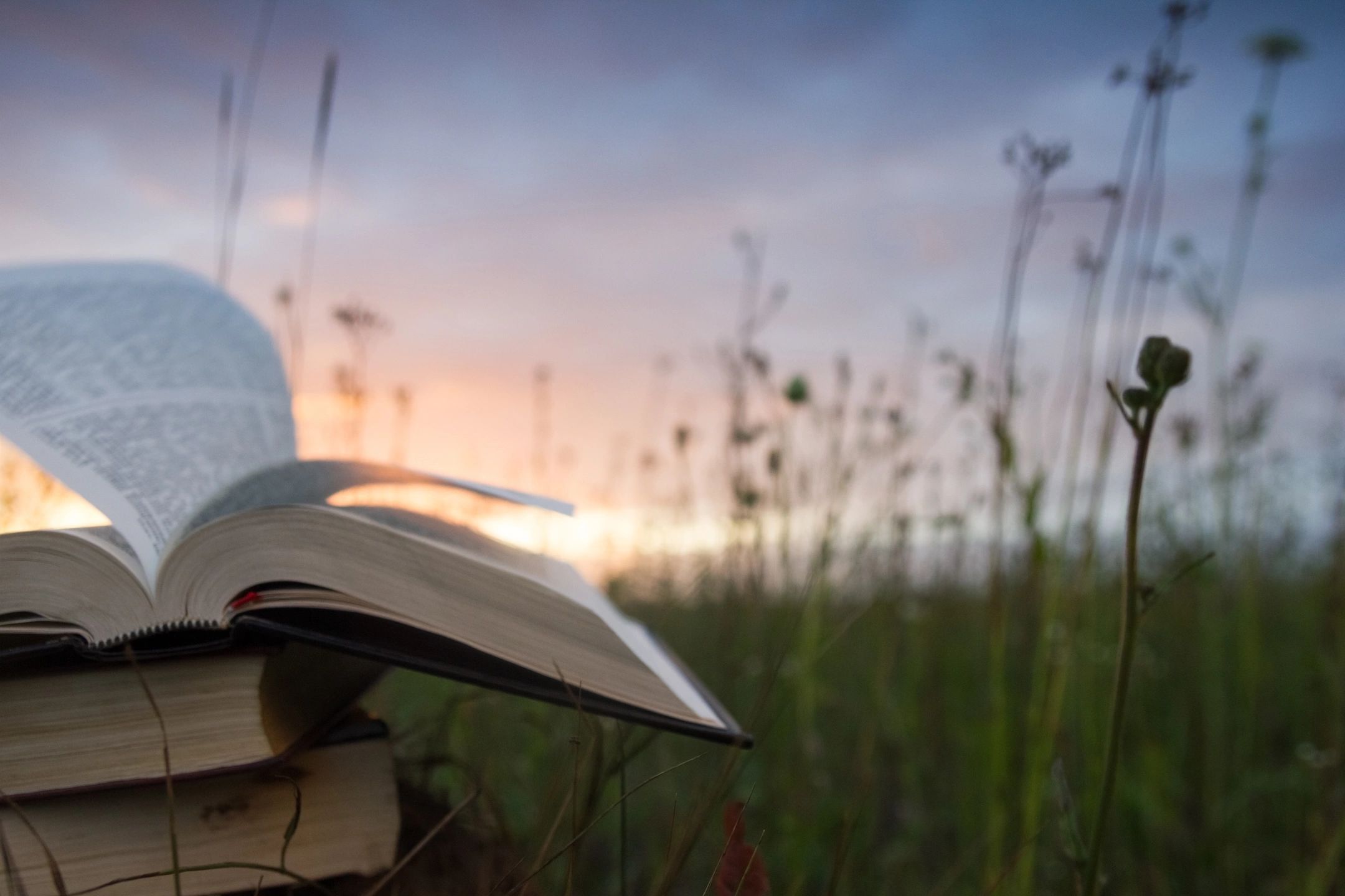 Open book in grassy field at sunset