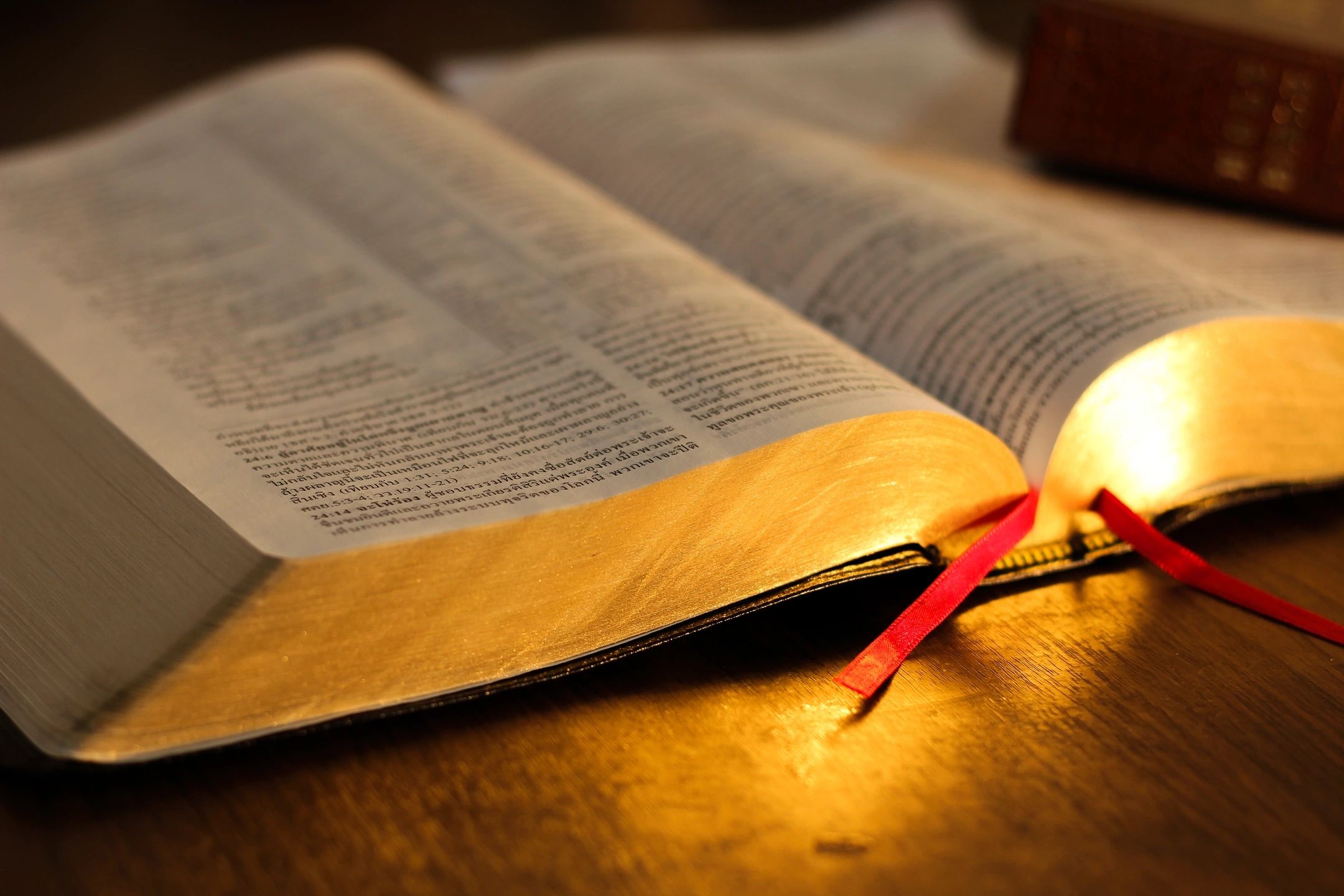 Close-up of open Bible pages with ribbon
